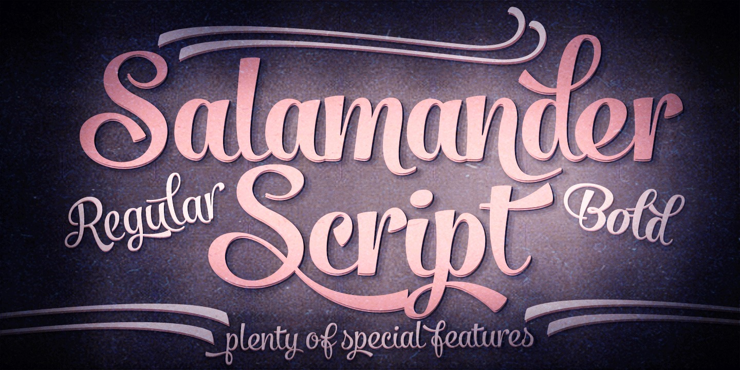 Salamander Script Bold Font preview